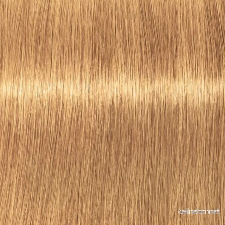 Schwarzkopf Professional Igora Vibrance Kit 9-55 Extra Light Blonde Gold Extra v:9850463