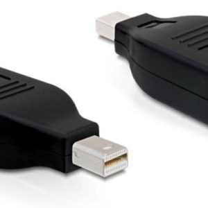 NORDIQZENZ Mini Displayport Hane til Displayport hona, Adapter v:5978337