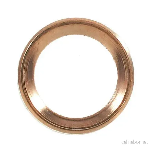 iPhone 6 / 6s Bagkameralinse Metal Beskyttelses Ring Rose Gull v:8348071