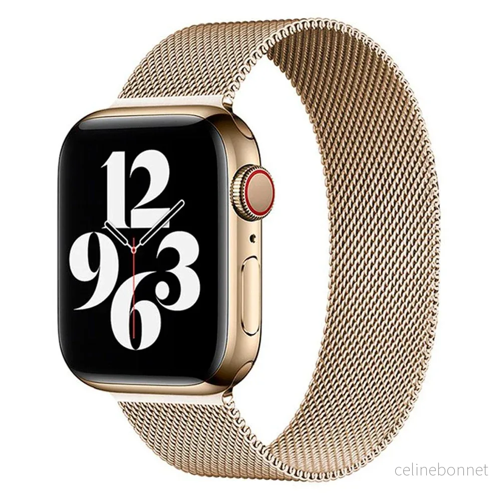 Lippa Apple Watch (42/44/SE/45/46/49mm) Magnetisk Reim i Rustfritt Stå v:1493397