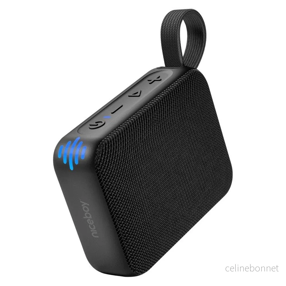 Niceboy Atom 4 Bluetooth Høyttaler – 6W – Svart v:2964561