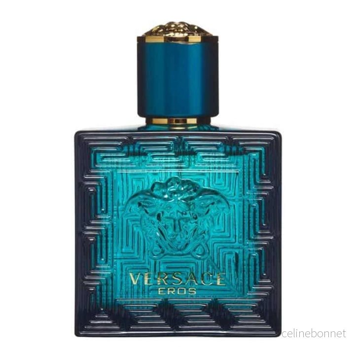 Versace Eros Edt 100 ml v:2435384
