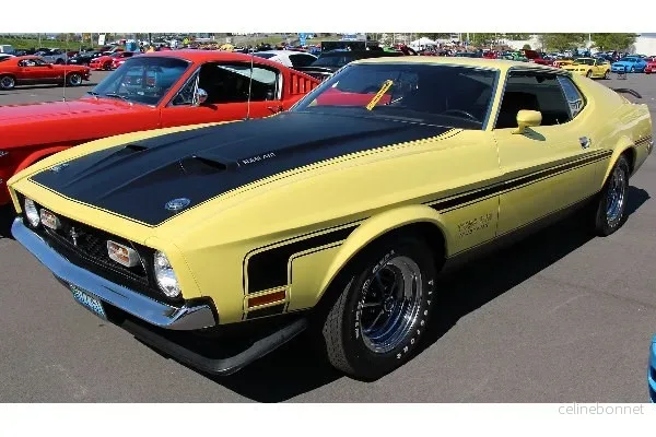 Revell 71 Ford Mustang Boss 351 v:4381150