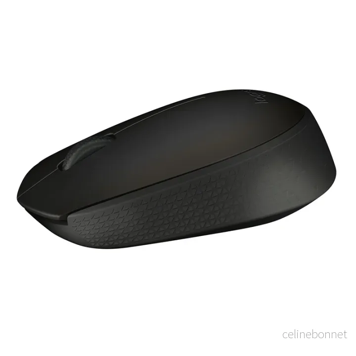 Logitech B170 datamus Ambidekstral RF trådløs optisk v:9008711