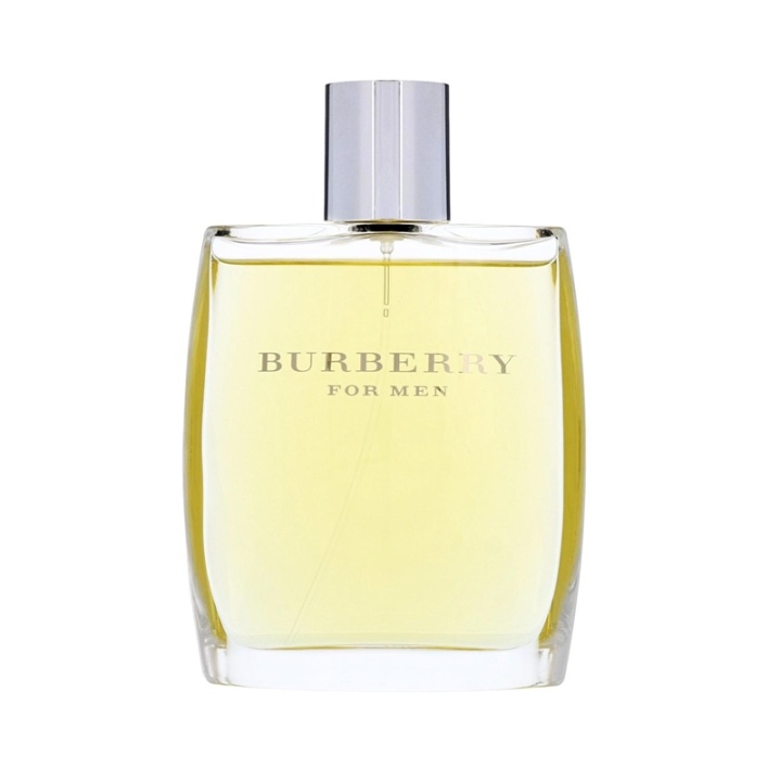 Burberry For Men Edt 100 ml v:6916801