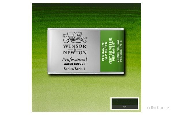 Prof Water Colour Pan/W Perm Sap Green 503 v:1531343