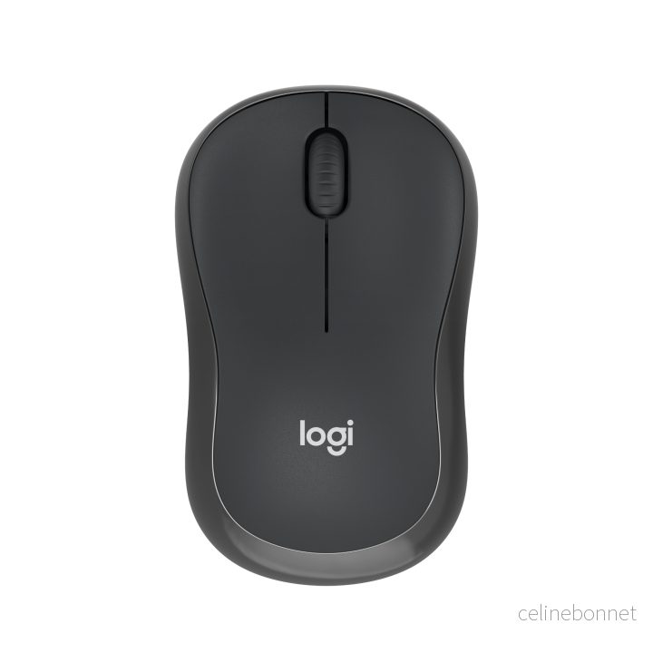 Logitech M240 Lydløs Bluetooth-mus v:6920239