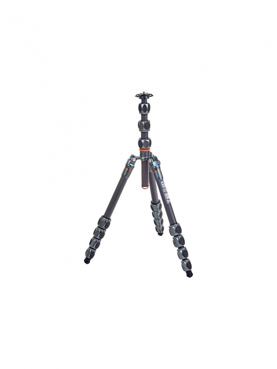 3 Legged Thing Pro 2.0 Albert Grey v:3694641